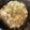 ysk's cooksnap of when they made 優しい味　白菜・糸こん・シーチキン煮.