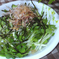 framboise⁂'s cooksnap of when they made ☆簡単☆かいわれ大根の海苔おかか和え.