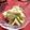 フジぽん's cooksnap of when they made 簡単！キャベツのおかかクリームチーズ和え.