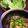 葵子☆'s cooksnap of when they made 納豆の消費に☆納豆マヨ‡レタス巻き‡.