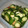 honeymit's cooksnap of when they made きゅうりの簡単漬け.