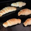 花嫁修行むささび's cooksnap of when they made 時短発酵で！初心者でも簡単塩パン.