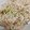 クックCNZGFQ☆'s cooksnap of when they made 旬の食材で！桜えびとそら豆の炊き込みご飯.