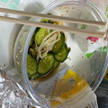 ぽてぽて☆☆'s cooksnap of when they made 幼稚園で大人気♪きゅうりのカリカリ漬け.