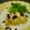 PARNELL's cooksnap of when they made 柿とチーズのサラダ.
