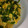 みっくすべぢたぶる's cooksnap of when they made 筍とほうれん草の炒り卵オイスター炒め.