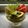 Balipurnama's cooksnap of when they made パフェ☆ごはん.