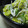 sweetmacaron's cooksnap of when they made 菊とえのきの和え物.