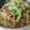 CoffeeCoco's cooksnap of when they made 柚子胡椒とポン酢の納豆パスタ.