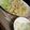 ＭＩＩＮ's cooksnap of when they made 簡単！エビマヨ.