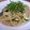 pali's cooksnap of when they made 本日のパスタブランチ☆全粒粉パスタとズッキーニで和風味.