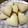 ＊さとちゃん＊'s cooksnap of when they made 混ぜて焼くだけ簡単クッキー♡！.