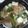 ◎ゆー◎'s cooksnap of when they made ブロッコリーと豚肉の豆腐あんかけ丼.