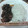 mintoneko's cooksnap of when they made 美味☆さばの唐揚げ香味ソース添え♪.