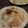 時花菜's cooksnap of when they made ウドとレンコンの混ぜご飯（混ぜ寿司）.