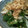 きむたっくす's cooksnap of when they made 【新タマネギと三つ葉香る梅おかか和え】.