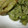 えいとさん's cooksnap of when they made ゴーヤの磯部揚げ.