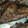 drive's cooksnap of when they made ゴージャス★まぐろのカマ焼き.
