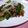 ｇａｂｉｂｉ's cooksnap of when they made 【豚肉とキュウリのラー油炒め】.