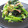 えみんちゅ＊'s cooksnap of when they made ほうれん草と卵のカニカマサラダ.