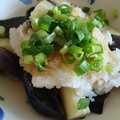 さんぱうろ's cooksnap of when they made ✿揚げ茄子の大根・生姜添え.