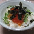 yamita's cooksnap of when they made 鮭とイクラの親子丼.