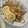 ＴＯＭＯＷＡＴ's cooksnap of when they made ししゃもの南蛮漬け.