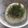 きらり流れ星's cooksnap of when they made ＊青のりとゴマの磯辺おにぎり＊.