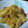 ボックン's cooksnap of when they made 筍のペペロンチーノ風炒め.