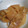 ぴょんこ623's cooksnap of when they made 筍の土佐煮.