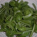 ichimai's cooksnap of when they made コゴミ（クサソテツ）のおひたし.