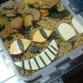 めそ。's cooksnap of when they made キャラ弁☆かわいい！ネコバス.