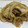 いつぼうママ's cooksnap of when they made 厚揚げの生姜焼き☆彡.