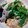 うっし〜's cooksnap of when they made つるるん鶏とおくらのねぎソース.