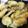 sinoaki's cooksnap of when they made 手羽先のごま焼き.