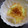 shimaru's cooksnap of when they made 簡単すぎておいしすぎる丸ごと新たまねぎ♪.