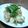 あやめりあす's cooksnap of when they made じゃがいもの味噌和え.