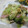 miyuki12's cooksnap of when they made お魚ソーセージとキャベツのおつまみ炒め.