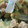 amiami1234's cooksnap of when they made さっと炒めて☆青梗菜の卵とじ.