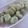 ｘsacchiｘ's cooksnap of when they made 塩茹でそらまめ.