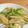Nekozame's cooksnap of when they made 千切りジャガ炒め♪♪.