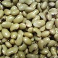 かんなずき's cooksnap of when they made ひたし豆の煮豆☆塩茹で豆・青大豆.