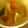 cheesedog's cooksnap of when they made 鮭と南瓜の豆乳煮。.