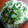 桃がいいなあ。's cooksnap of when they made ささみとキャベツのサラダ　柚子胡椒あじ.