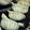 ととのちーめい's cooksnap of when they made ぎょうざのかわ！.