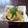 まきーころ's cooksnap of when they made 酢味噌で頂く「筍の木の芽和え」.
