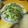 くまくまくまの子's cooksnap of when they made こごみの天ぷら.