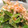 hiromi_ja's cooksnap of when they made アイスプラントの柚子胡椒マヨポン和え.