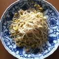nobomari's cooksnap of when they made ペペロンチーノ風の豆もやし炒め.