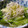 あや　ぱん's cooksnap of when they made レタス消費☆レタスのおひたし＋ゆず胡椒.